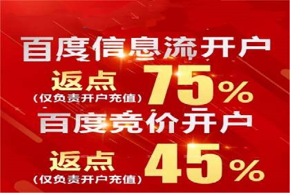 推广竞价案例分析：揭秘高转化率背后的秘密